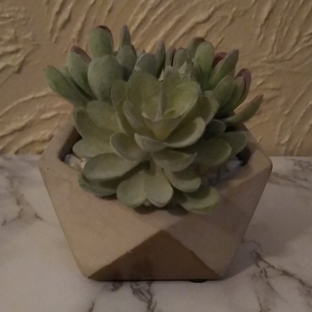Faux succulent decor